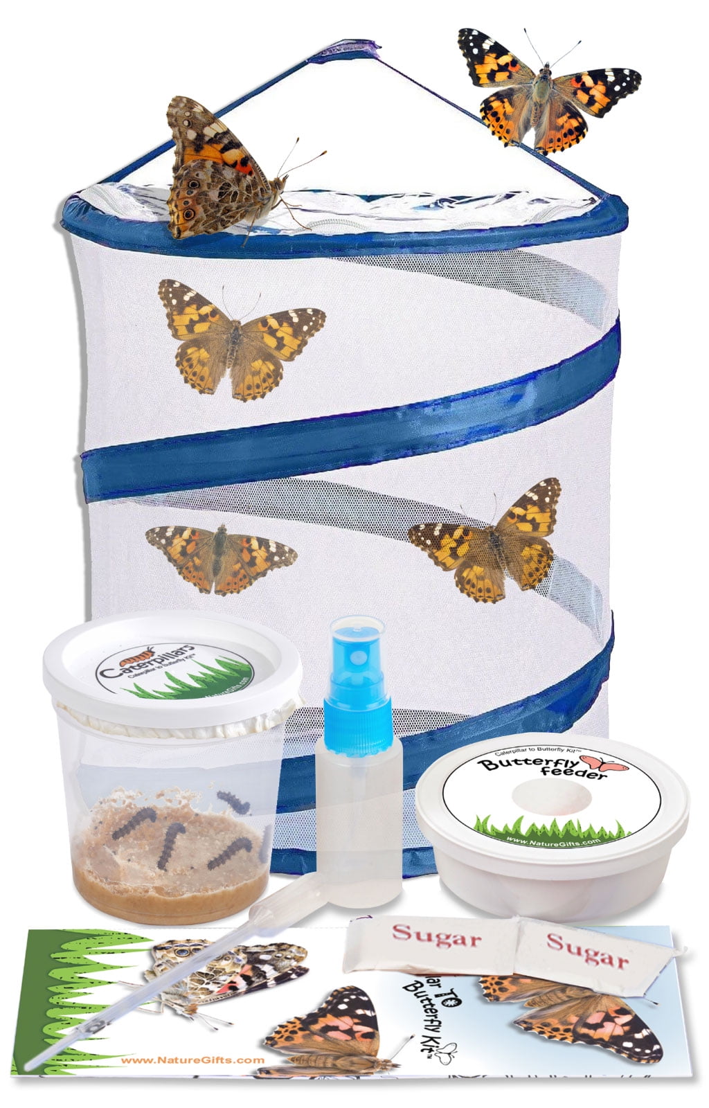Butterfly Kit Shipped with Free Certificate to redeem for 5 LIVE