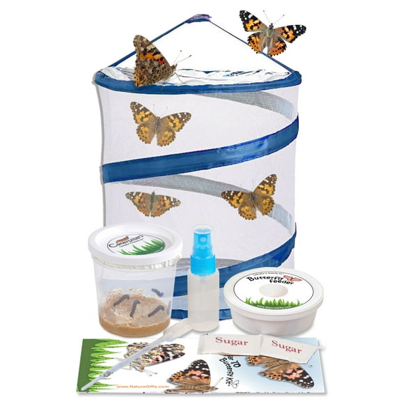 Butterfly Kits