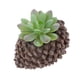 thumbnail image 2 of Planta De Flor De Loto De Piedra Suculenta Artificial Decoración De Mesa De Jardín Para El Hogar Verde, 2 of 5