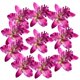 thumbnail image 2 of 10 Uds cabezas de de seda artificiales para manualidades de bolas de boda DIY 9cm Colcomx Cabeza de flor de seda de orquídea, 2 of 8