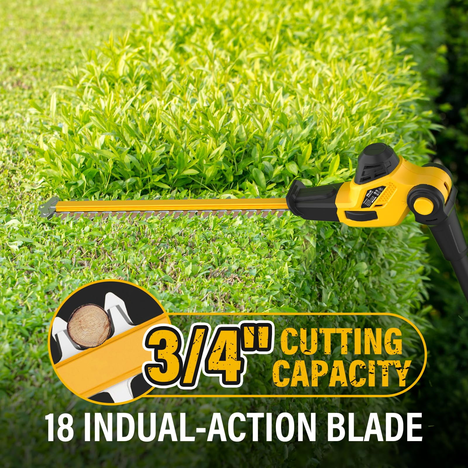 ZEGJAW Pole Saw 8-Inch Cordless Tree Trimmer and 18-Inch Pole Hedge Trimmer 2-In-1,15-Feet Max Reach, Auto Oiling, Telescoping Pole Chainsaw with 2.0Ah Battery & Charger