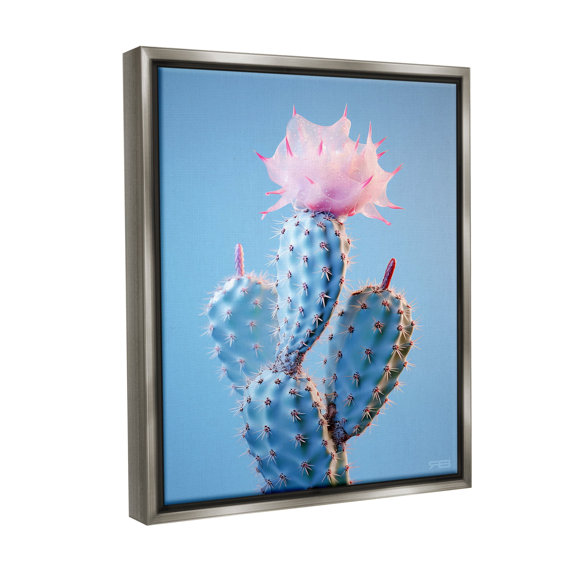 Stupell Industries Pink Budding Cactus Flowers Botanical & Floral Painting Gray Floater Framed Canvas Art Print Wall Art, 17 x 21