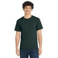 thumbnail image 6 of Port & Company Tall Essential Tee-XLT (Dark Green), 6 of 8