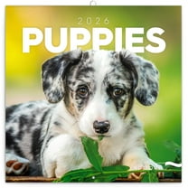 Calendar 2025-2026 Playful Puppies Wall Planner, Lovable Dog Organizer, 16-Month Hanging Schedule Sep 2025–Dec 2026, 12x12 in