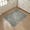 thumbnail image 3 of ODIKA 3'x5' Washable Accent Rug Pet Friendly, Non-Shedding Mat Entryway Vintage Scattered Motif Faded Door Orientalisch Geometric for Bedside, Nursery Room, 3 of 7