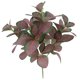 thumbnail image 1 of Injueey 5 ramas de plantas artificiales, vides, colgante de pared, simulación de hojas de ratán, ramas, planta verde, hoja de hiedra, Plantas Artificiales, 1 of 6