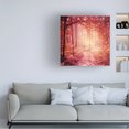 thumbnail image 2 of Trademark Fine Art "Enchanted Forest" Canvas Art by Beata Czyzowska Young, 2 of 4