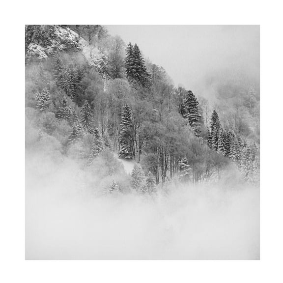 Trademark Fine Art Renate Wasinger The Foggy Mountain Canvas Wall Art