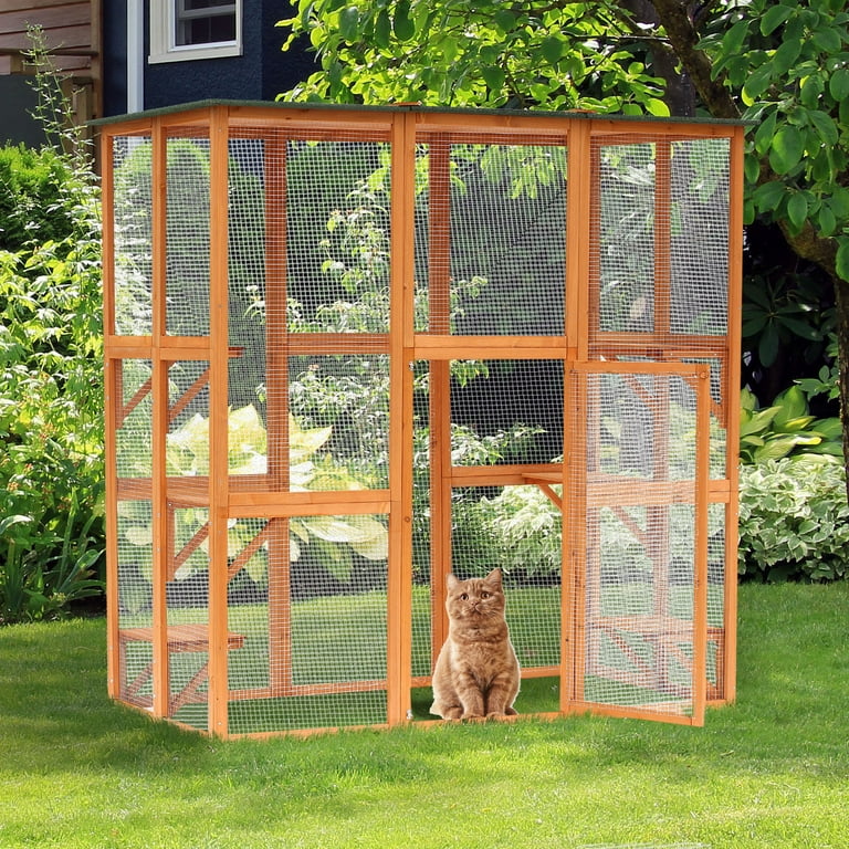 Catio wayfair hotsell