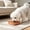 Orange, variant on Cififendec Square Plastic Pet Feeding Tray, 5.71", Shallow Food Snack Plate for Cats Small Dogs Indoor Daily Feeding, Orange
