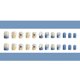 thumbnail image 2 of Parche para uñas HUOGUO, azul, extraíble con pegamento, 24 unidades, manicura corta, 2 of 4