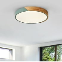 Aiwen Round LED Flush Mount Ceiling Lamp Modern Light Fixture Green