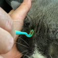 thumbnail image 4 of Herramienta para quitar garrapatas de 3 piezas, garrapatas sin dolor para perros, gatos y humanos, mascotas, azul, 4 of 5