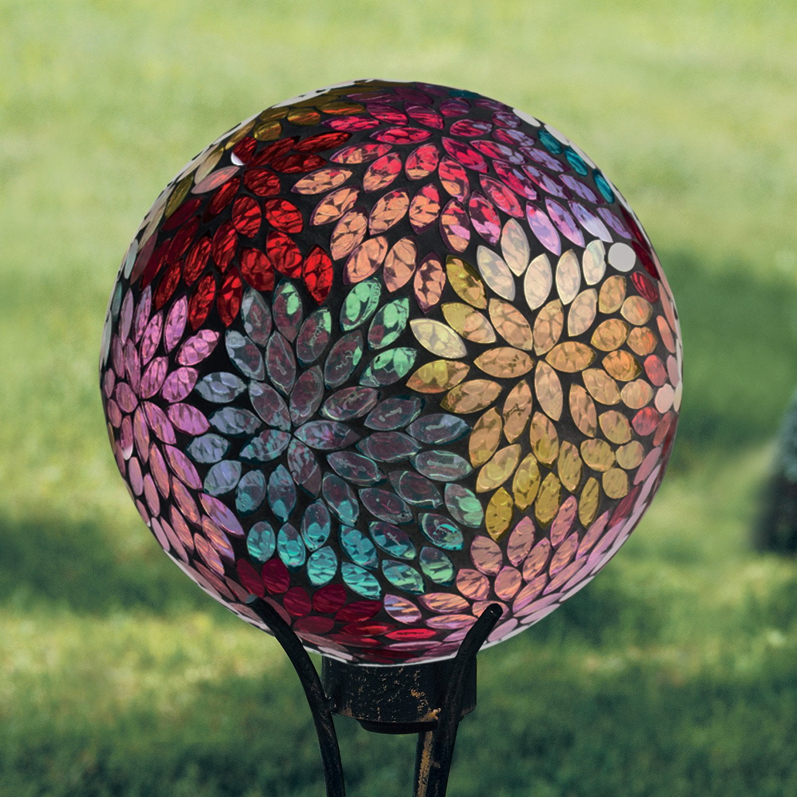 ball gazer ball gazer