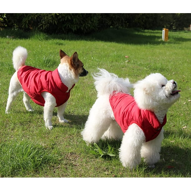 Walmart dog best sale jackets