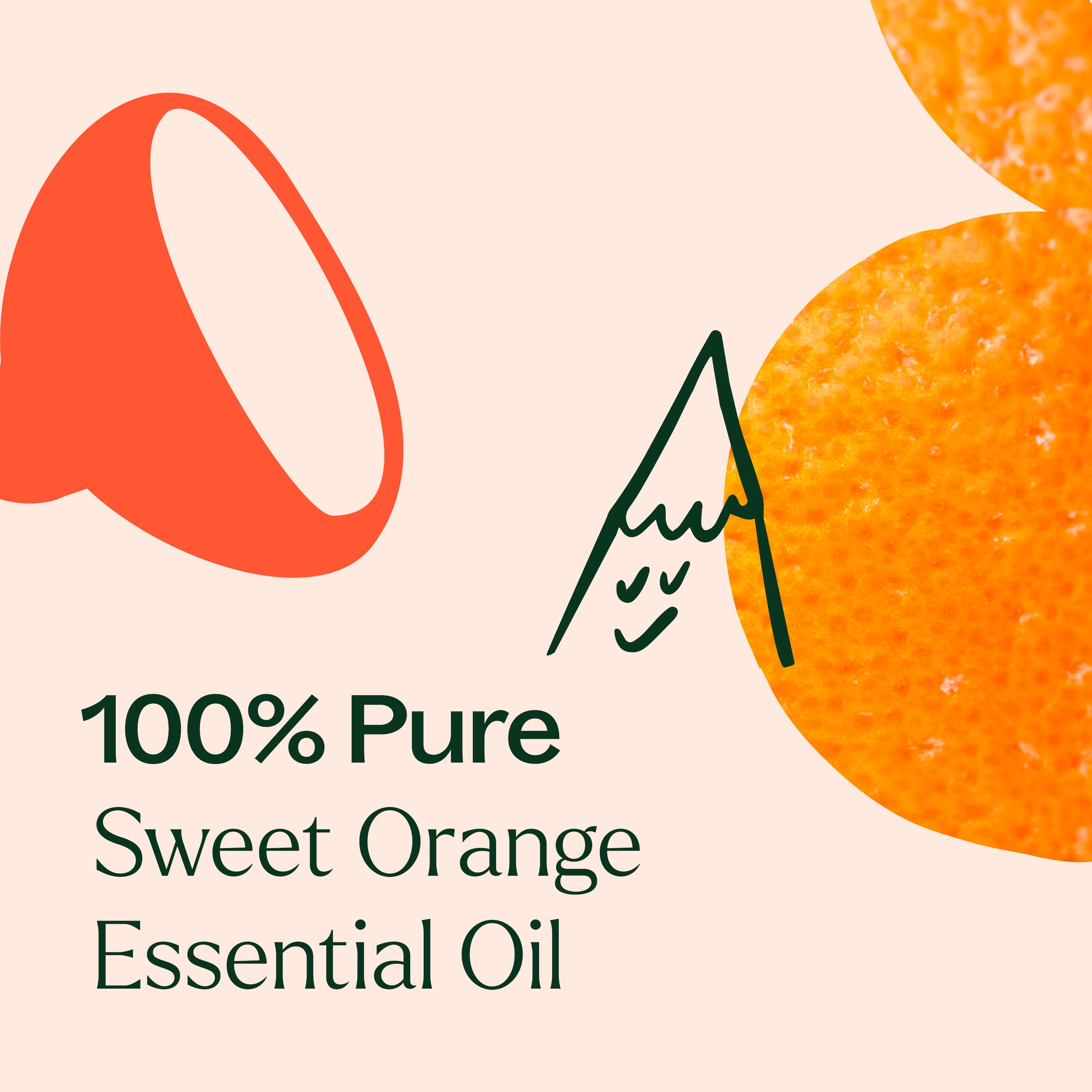 Plant Therapy Sweet Orange Essential Oil 100% Pure, Undiluted, Natural Aromatherapy, Therapeutic Grade 100 mL (3.3 oz)