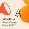thumbnail image 2 of Plant Therapy Sweet Orange Essential Oil 100% Pure, Undiluted, Natural Aromatherapy, Therapeutic Grade 100 mL (3.3 oz), 2 of 9
