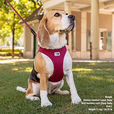 Curli カーリー ハーネス エアメッシュ ベスト クラスプ M-XL 中型犬対応 胴輪 歩行補助 CLASP VEST AIR MESH HARNESS
