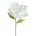 thumbnail image 1 of Crème Amaryllis Fleur&44; 22 & 10 Po., 1 of 1