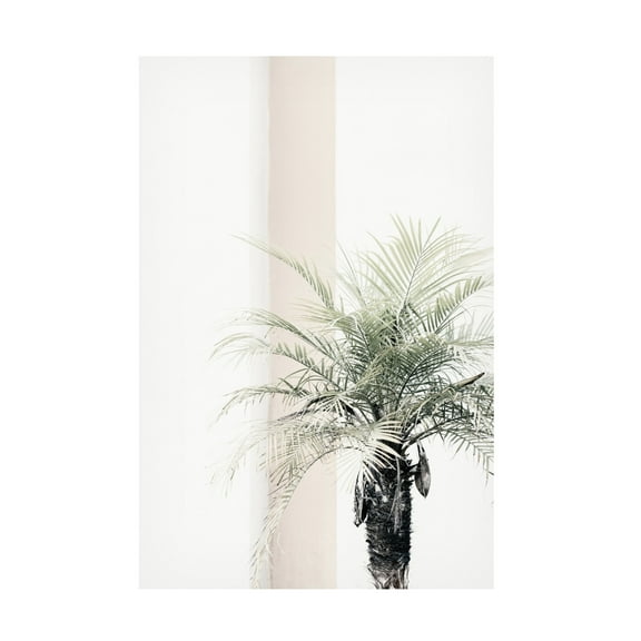 Trademark Fine Art Pictufy Studio Palm Tree Canvas Wall Art