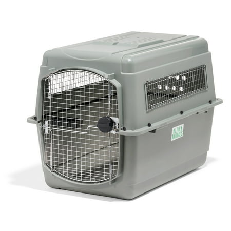 Petmate Sky Kennel for Dogs, IATA Approved, Plastic Travel Carrier, Gray, For Dogs 70-90 lbs, Extra Large, 40" x 40" x 40"