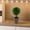 B, variant on Gmogad 11" Tall Fake Potted Plants Artificial Greenery Plastic Simulation Indoor Outdoor Decor for Home Office Hotel Lobby No Maintenance