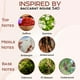 thumbnail image 5 of Aceite de perfume Impression PICNTELL P1 Roll-on 10 ml Baccarat Rouge 540, 5 of 6