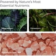 thumbnail image 2 of Livingood Daily Electrolytes Powder, Electrolytes Hydration Drink Mix With Vitamin C, Magnesium, Taurine & Sea Salt, Electrolyte Supplement For Energy & Hydration, Keto, Lemon Lime Flavor, 30 Serving, 2 of 7
