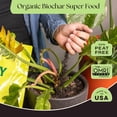 thumbnail image 3 of Rosy Soil Plant Food, All-Purpose Organic Nutrient-Rich Fertilizer - 2qt, 3 of 9