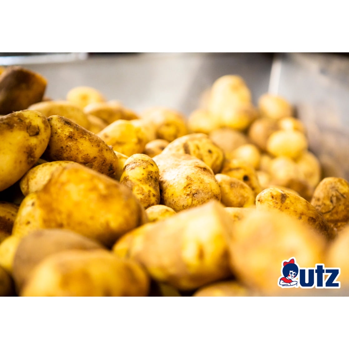 (3 pack) Utz Kettle Classics Original Potato Chips, Gluten-Free, 8 oz Bag