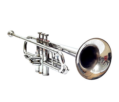 trumpet ni with hard case and mouthpiece sale percent on