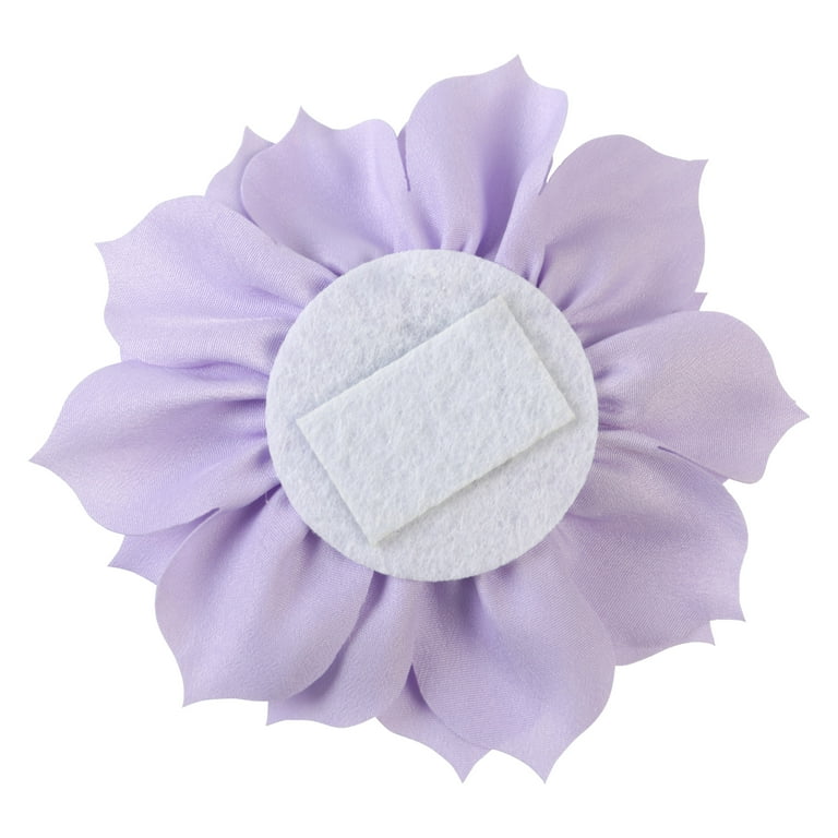 トランプ Lotus #04 Lotus Flower Edition 2025 $5 1 oz Silver Maple Leaf Coloured