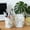 2Pcs Multifunctional Organizer Supplies Printed Under $5 a1, variant on BRELIL Pen Holder, 3D Printed Pen Organizer, Cute Desk Storage Bucket for Pens Makeup Brushes, Multifunctional Office Supplies Home Vanity Decor