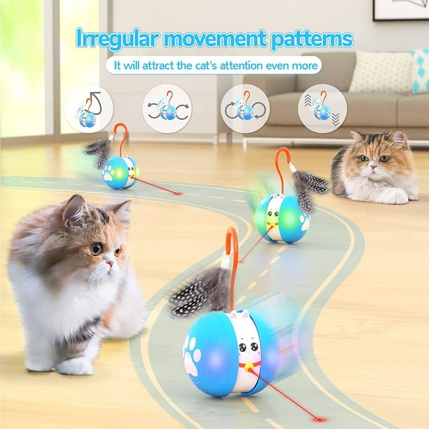Cat laser toy walmart cheap