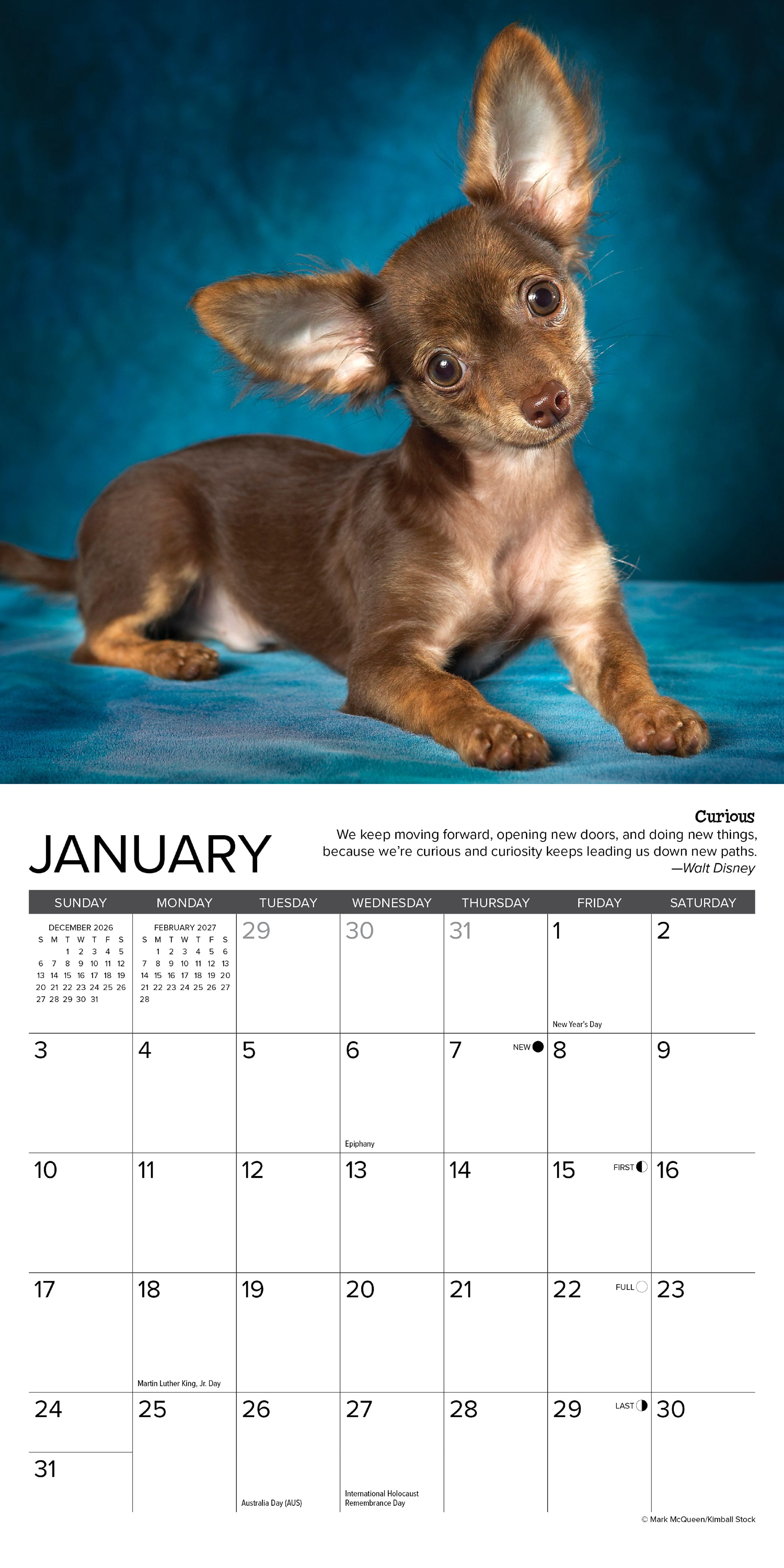 Willow Creek Press, Chihuahua Rules 2027 Mini Wall Calendar