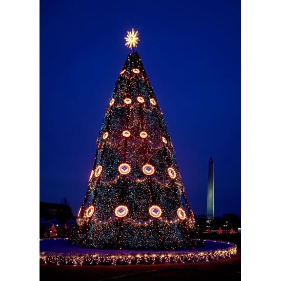 National Christmas tree on the National Mall in Washington, D.C. Canvas Wall Art (20" x 30")
