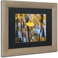 thumbnail image 2 of Trademark Fine Art "Floater" Canvas Art by Michael Blanchette Photography Black Matte, Birch Frame, 2 of 4
