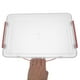 thumbnail image 3 of FOMIYES Caja De Almacenamiento Para Documentos Plástico Rojo Con Tapa Y Asa Portátil Transparente Pet, 3 of 8