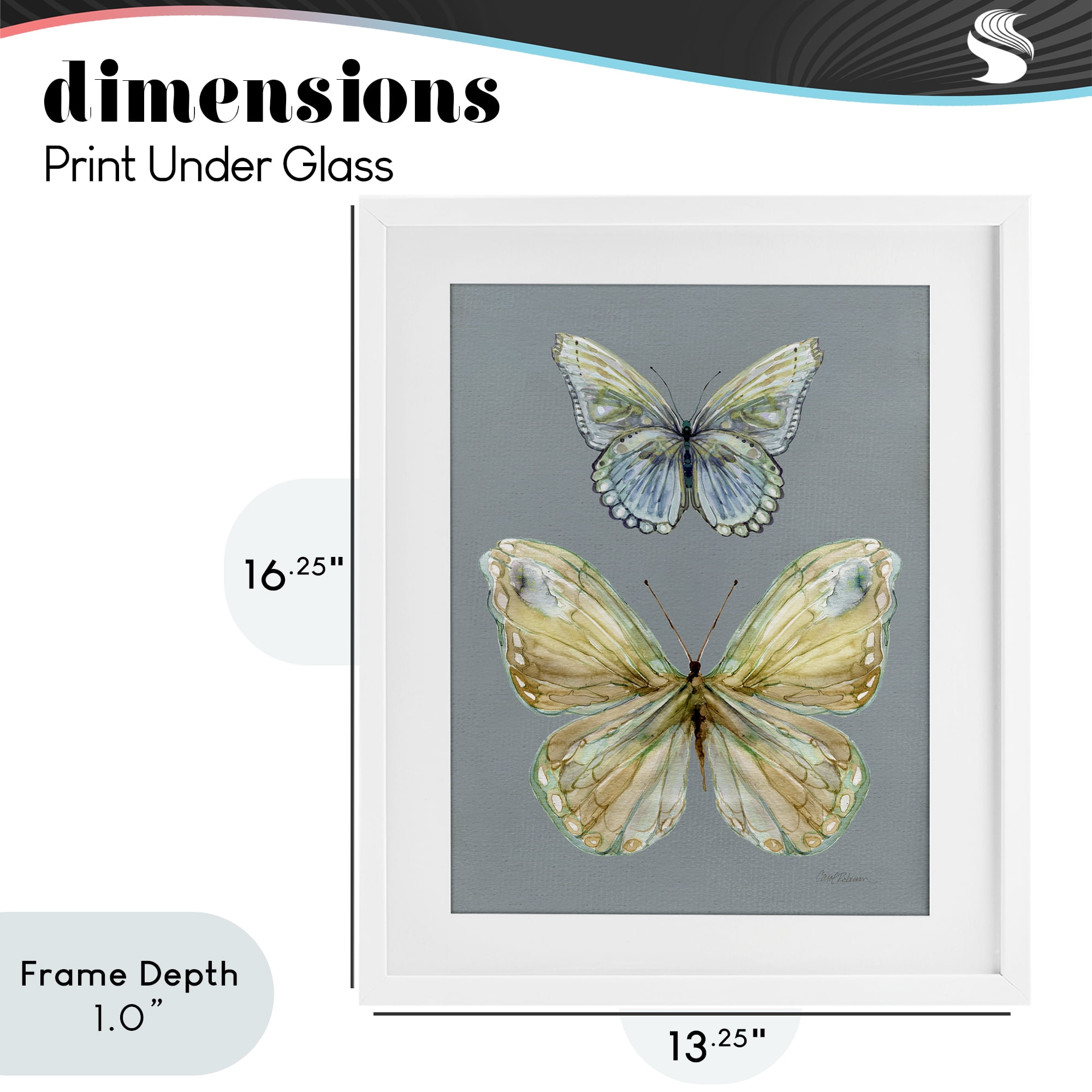 Stupell Industries Delicate Butterflies on Slate White Framed Print Under Glass, design by Carol Robinson