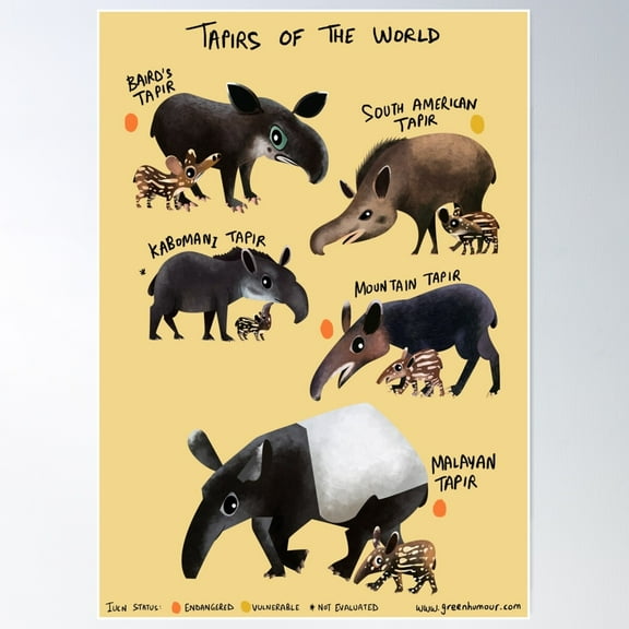 Tapirs Of The World Poster Wall Art, Modern Wall Decor For Living Room Bedroom, 8x12 UNFRAMED