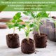 thumbnail image 4 of Suministros De Jardinería Y Cultivo De Interior, 50 Piezas De Tierra De Fibra De Coco Comprimida Para Macetas Que Expande El Suelo De Fibra De Pellets Orgánicos, Kit De Inicio De Semillas De Interior Muyoka Hogar, 4 of 6