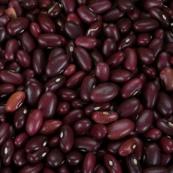 Dried Small Red Beans - 20 lb.