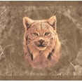 thumbnail image 1 of Lynx Images sur Fond d'Écran d'Animaux Mur Brun Frontière Retro Design, Rouleau 15' x 8'', 1 of 3