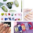thumbnail image 4 of 12 Colors Nail Dried Flowers, 3d Nail Art Sticker for Tips Manicure Decor Mixed Accessories, Starry Leaves Flower,2#, 4 of 5