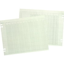 Wilson Jones, WLJG106, Prepunched Ledger Paper Sheets, 100 / Pack