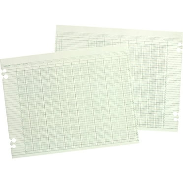 Wilson Jones, WLJG106, Prepunched Ledger Paper Sheets, 100 / Pack