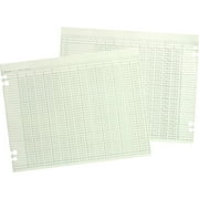 Wilson Jones, WLJG106, Prepunched Ledger Paper Sheets, 100 / Pack