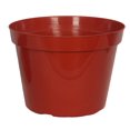 thumbnail image 1 of 10"GROWER POT TERRACOTTA, 1 of 1