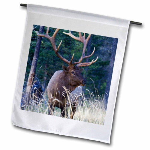 3dRose, Rocky Mountain Bull Elk, 12 x 18 inch Garden Flag