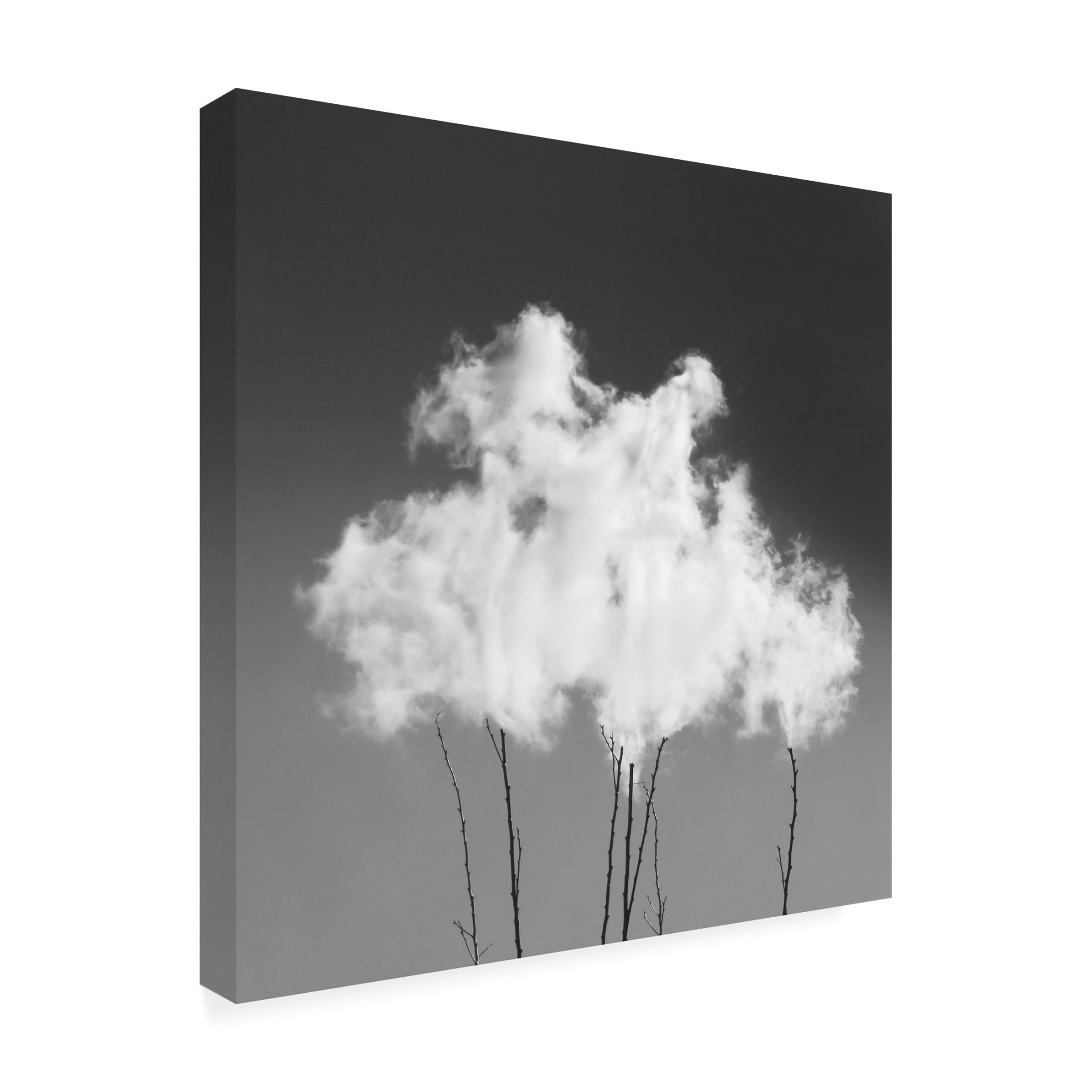 Canvas Wall Art - Mostafa Nodeh 'Sky' Wall Art for Living Room, Bedroom, or Office Décor by Trademark Fine Art - 24 x 24 Inches